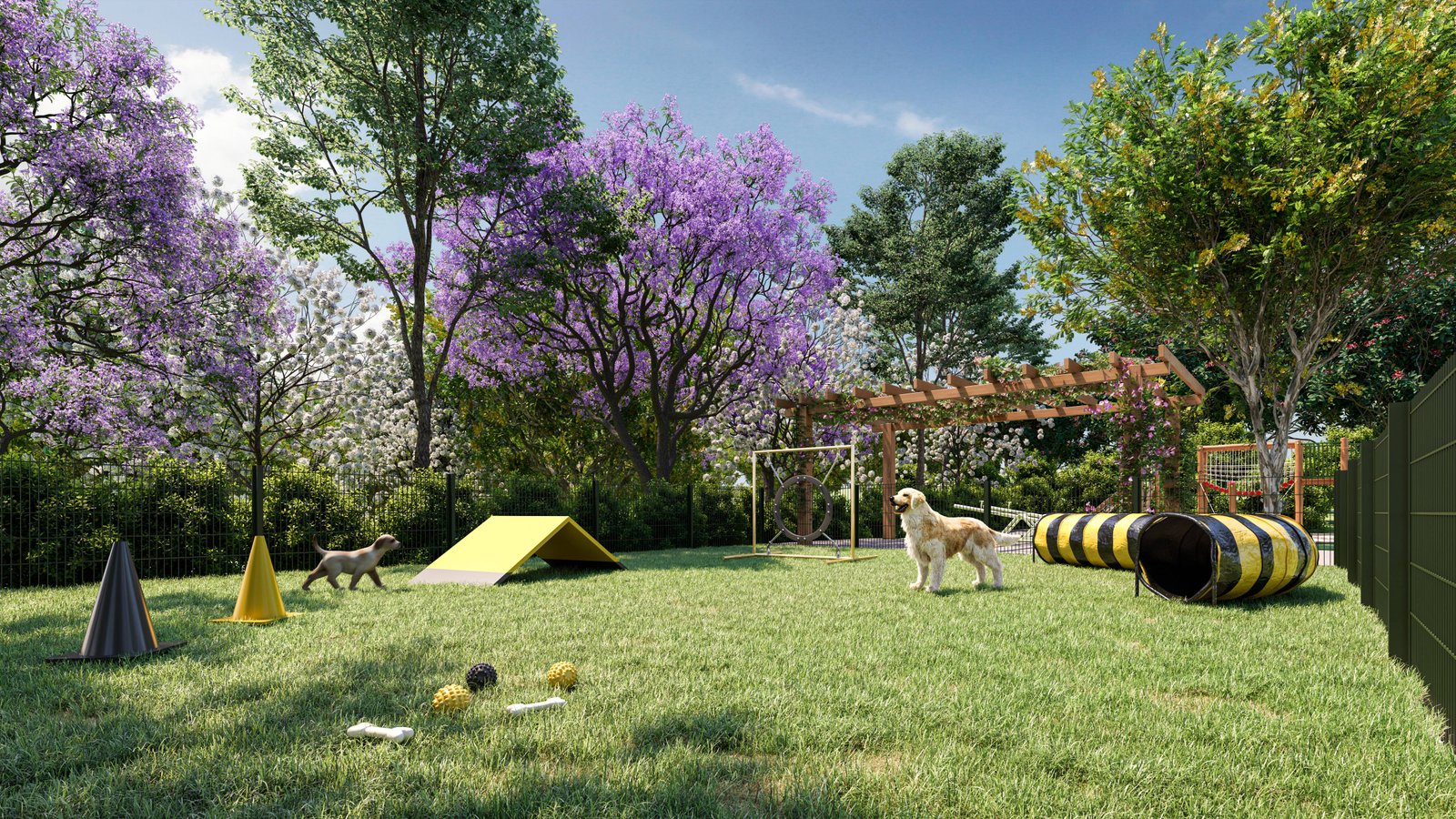 Pet Place com Circuito Agility