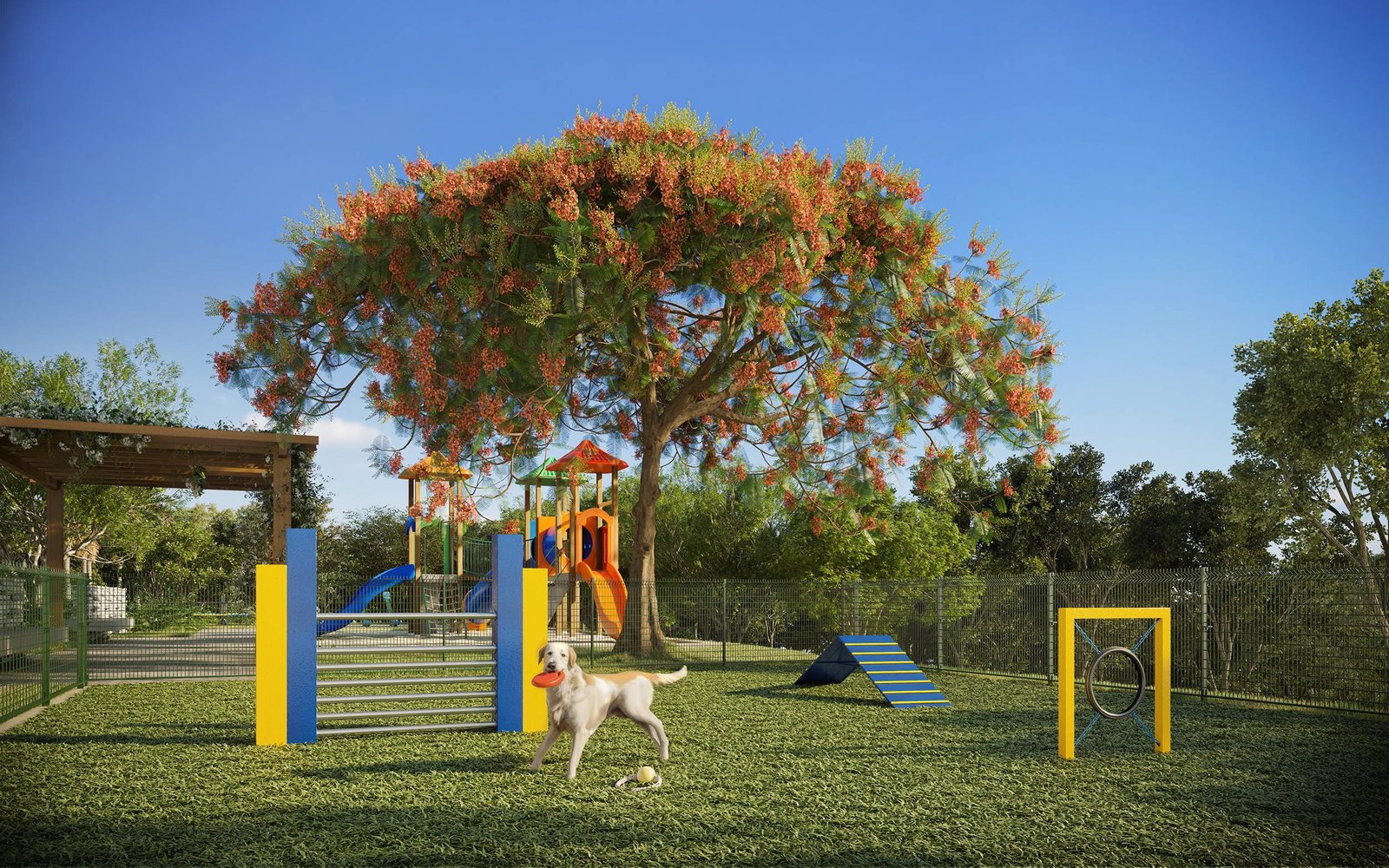 Pet Place com Circuito Agility